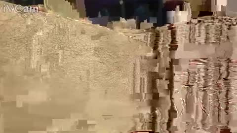 Hotcapolx online show from November 2025 10:32:02 AM