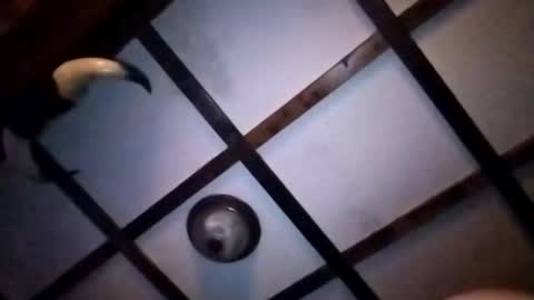 hotloads1992 online show from January 2026 01:18:01 AM