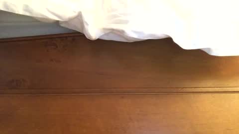 hotmuff99 online show from February 2025 08:58:02 AM