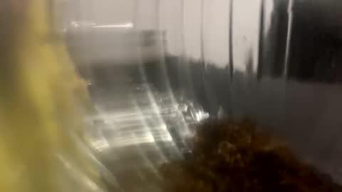 howarudoing online show from October 2025 01:59:02 AM