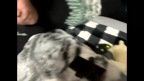 Snapshot of htfsb chatting on February 2026 01:57:01 AM htfsb online show from February 2026 01:57:01 AM