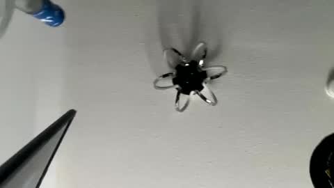 hughfat online show from January 2025 06:19:02 PM