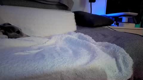 Hugo online show from February 2025 08:26:01 PM