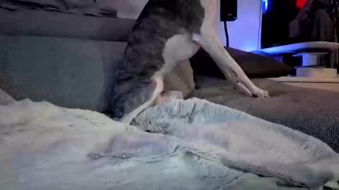 Hugo online show from March 2025 08:12:01 PM