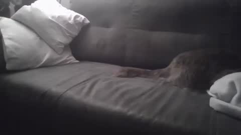 huguit026 online show from February 2025 11:27:01 PM