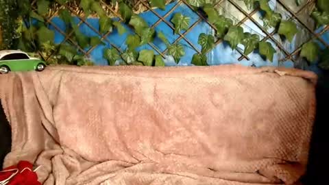 Kayla online show from December 2024 04:30:02 AM