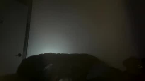 Snapshot of hustlemacc chatting on November 2025 02:11:01 PM hustlemacc online show from November 2025 02:11:01 PM