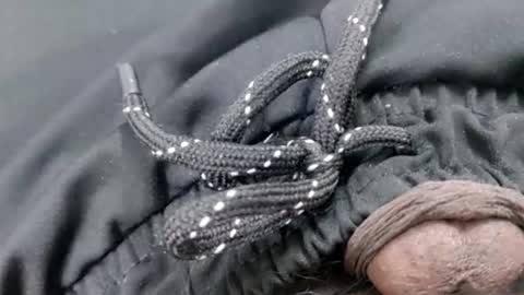 hydhunk28 online show from January 2026 03:14:02 PM