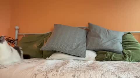 Olive online show from October 2025 11:12:02 PM