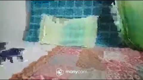 JP online show from September 2025 07:19:02 PM