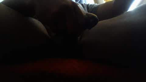 Snapshot of icecreamman6986 chatting on January 2025 08:15:01 PM icecreamman6986 online show from January 2025 08:15:01 PM