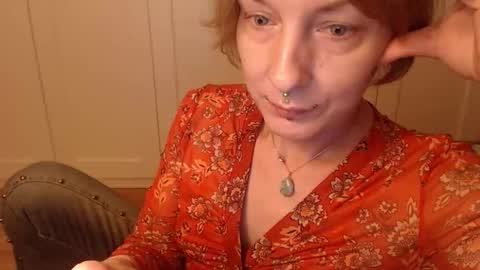 Ifk Donkeys online show from November 2025 05:47:01 PM