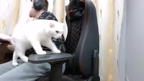 lord online show from November 2025 01:44:02 PM