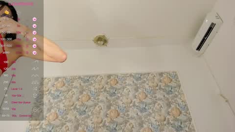 illegal_lorry online show from October 2025 04:57:02 AM