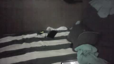 Snapshot of iloveitall86 chatting on November 2025 06:01:01 AM iloveitall86 online show from November 2025 06:01:01 AM