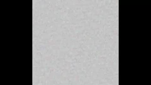 mei mei uwu online show from January 2026 10:17:02 AM