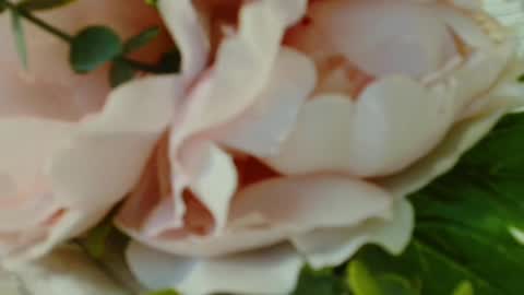 Carrie online show from March 2025 07:15:02 PM