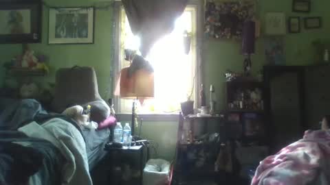 Snapshot of indigo_scorpio chatting on February 2025 06:48:01 PM indigo_scorpio online show from February 2025 06:48:01 PM