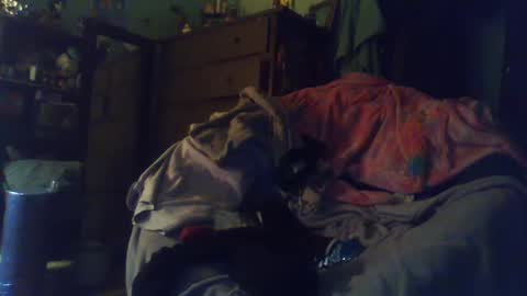 Snapshot of indigo_scorpio chatting on February 2025 12:52:02 AM indigo_scorpio online show from February 2025 12:52:02 AM
