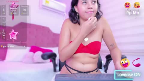 ISA online show from February 2025 10:18:02 AM