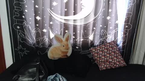 Snapshot of isabella__dark chatting on January 2025 07:31:01 PM    online show from January 2025 07:31:01 PM