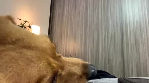 Isa online show from October 2025 01:47:01 AM