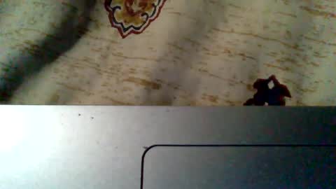 islandmaker online show from May 2026 07:47:02 AM