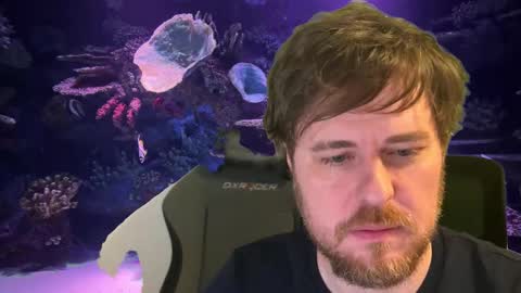 pain online show from December 2025 12:53:01 AM