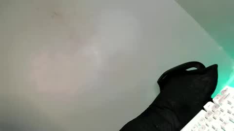 Snapshot of its_me_arabella chatting on February 2025 07:56:02 AM Bella online show from February 2025 07:56:02 AM