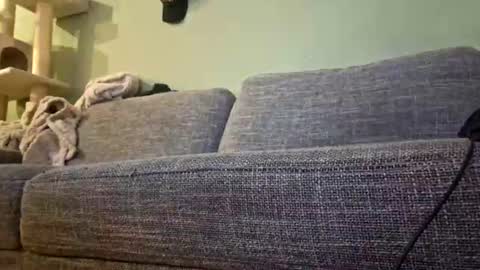 itsjeroen online show from July 2026 06:50:01 PM