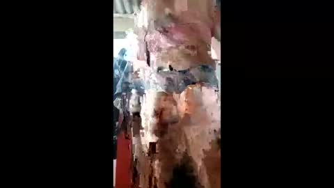 ivanaltrans62 online show from January 2026 04:50:02 AM