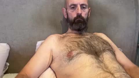 izzysboytoy1 online show from February 2026 08:21:01 AM