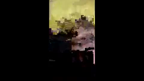 j557894 online show from October 2025 05:08:01 AM