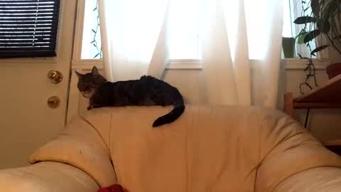 Jacob online show from February 2026 09:54:01 PM