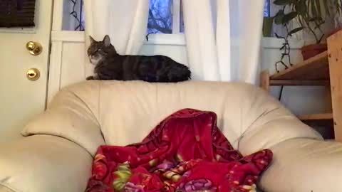 Jacob online show from February 2026 10:52:02 PM