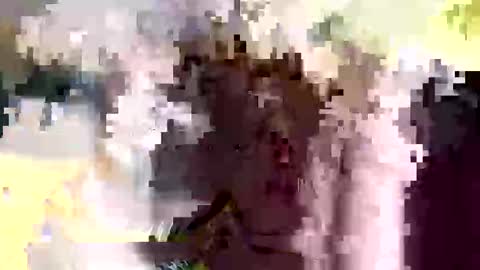 Snapshot of jadinolfi7070 chatting on December 2025 08:45:01 AM jadinolfi7070 online show from December 2025 08:45:01 AM