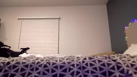 Snapshot of jaidenblake chatting on December 2024 09:45:02 AM jaidenblake online show from December 2024 09:45:02 AM