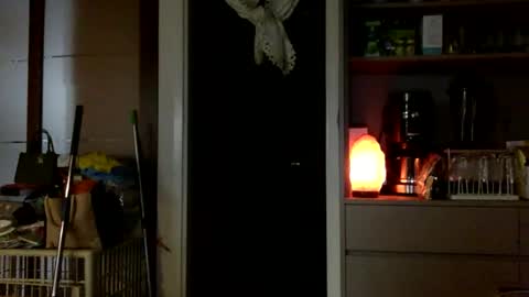 Snapshot of jamesmo820913 chatting on October 2025 03:58:02 AM jamesmo820913 online show from October 2025 03:58:02 AM