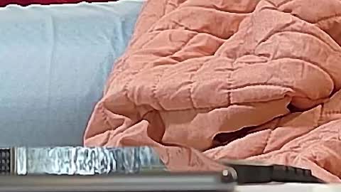 Bootyshows online show from September 2025 12:38:02 PM