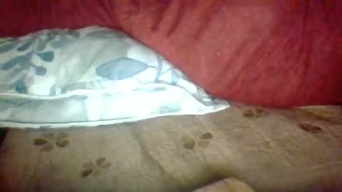 Janne online show from November 2025 02:39:01 PM