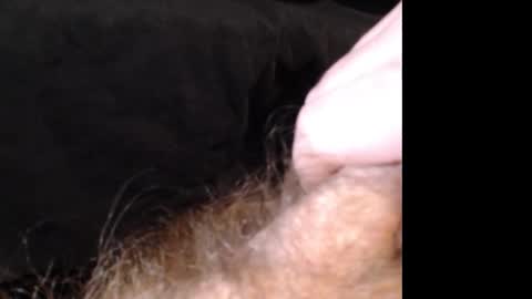 Jason online show from December 2024 02:53:01 PM