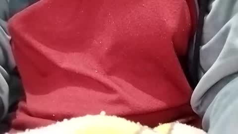 jasspreettt online show from January 2025 01:55:01 AM