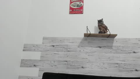 Jaycreedd online show from February 2025 04:39:01 AM