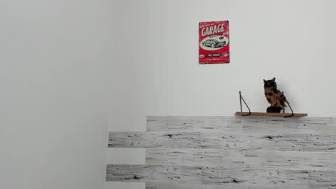 Jaycreedd online show from March 2025 06:11:02 PM