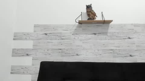 Jaycreedd online show from September 2025 03:39:02 AM