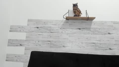 Jaycreedd online show from September 2025 12:12:01 AM