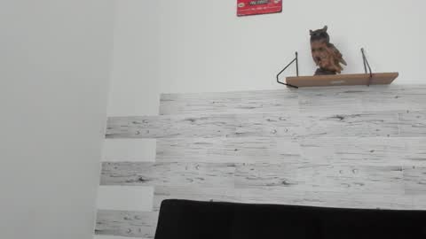 Jaycreedd online show from September 2025 01:46:02 PM