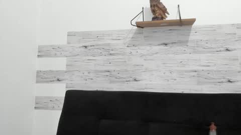 Jaycreedd online show from October 2025 11:20:02 PM