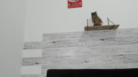 Jaycreedd online show from November 2025 04:13:02 AM