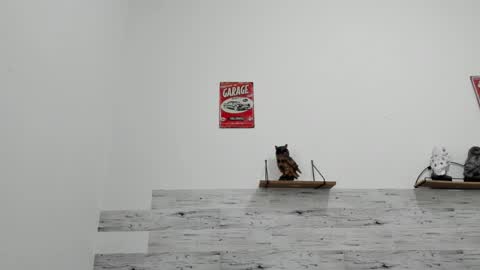 Jaycreedd online show from November 2025 08:13:02 PM